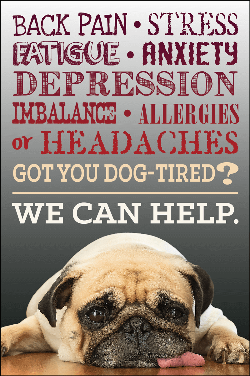 DOGTIRED